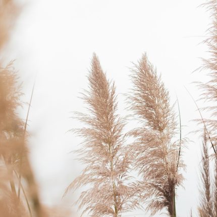 daniel-schludi-pYpOZMP43Cc-unsplash-scaled